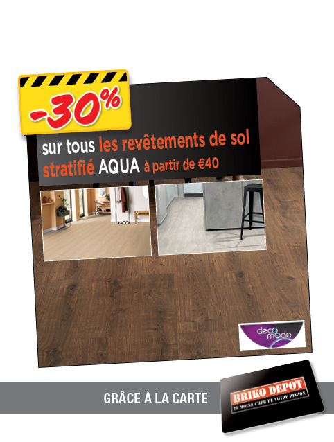 Promotion BRIKO DEPOT