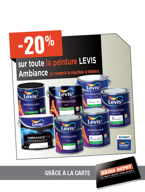 Promotion BRIKO DEPOT
