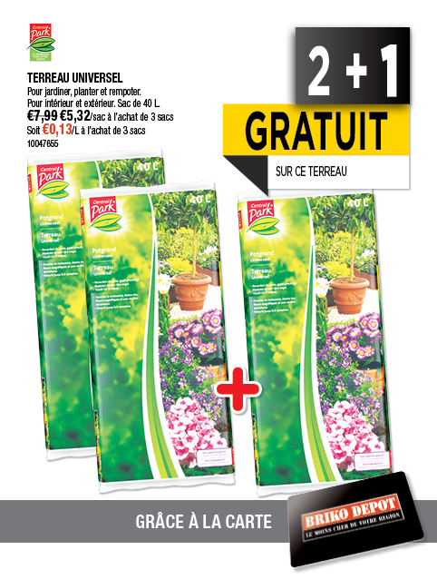 Promotion BRIKO DEPOT