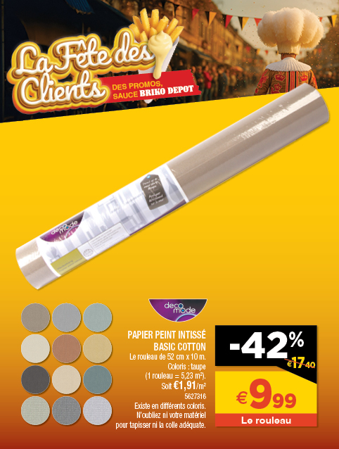 Promotion BRIKO DEPOT