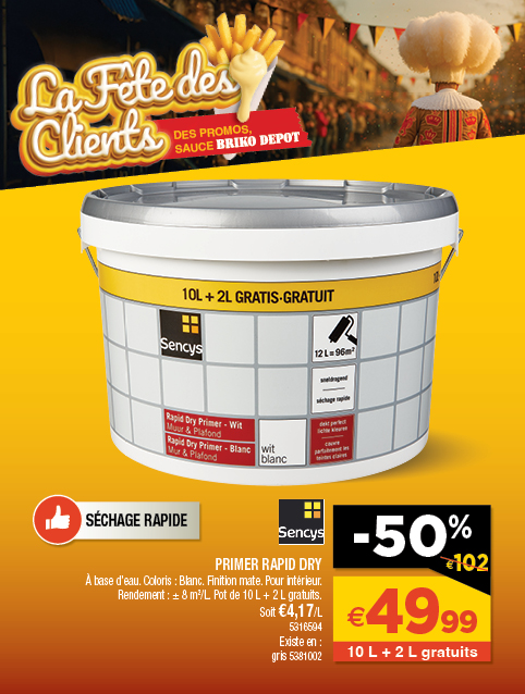 Promotion BRIKO DEPOT