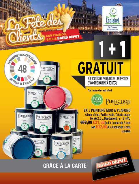 Promotion BRIKO DEPOT