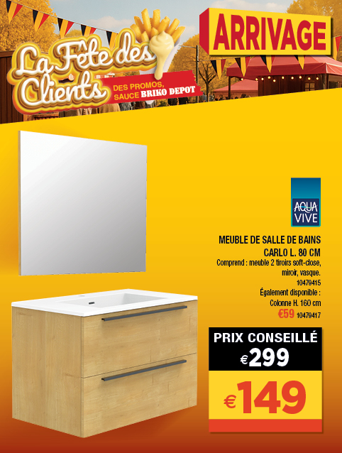 Promotion BRIKO DEPOT