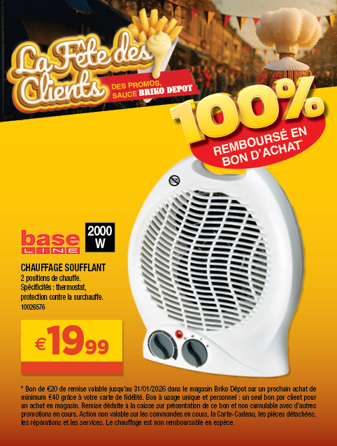 Promotion BRIKO DEPOT