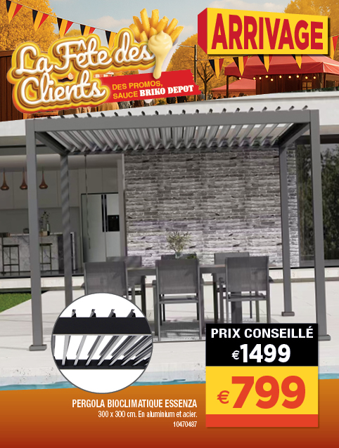 Promotion BRIKO DEPOT