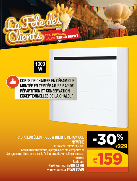 Promotion BRIKO DEPOT