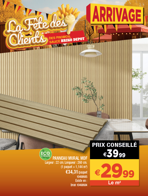 Promotion BRIKO DEPOT