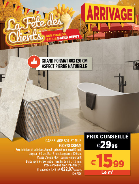 Promotion BRIKO DEPOT