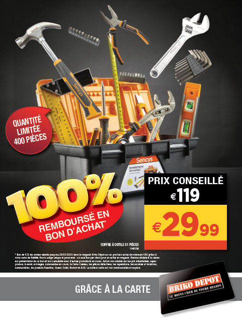Promotion BRIKO DEPOT