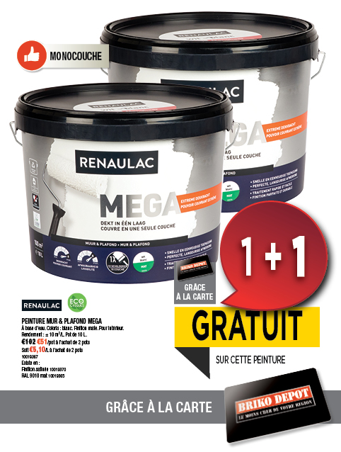 Promotion BRIKO DEPOT