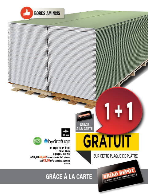 Promotion BRIKO DEPOT