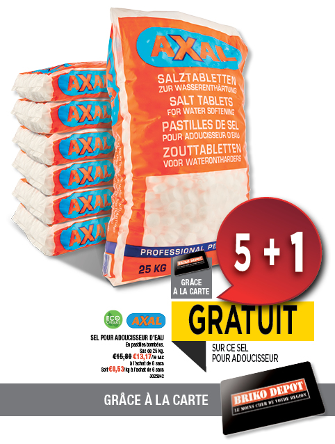 Promotion BRIKO DEPOT