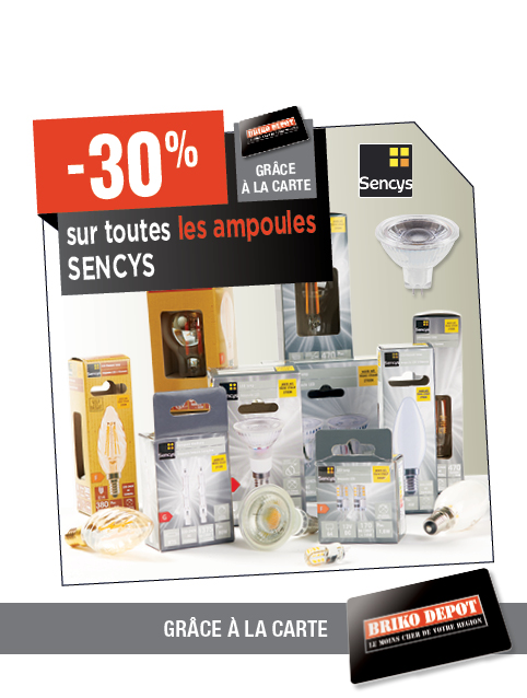 Promotion BRIKO DEPOT