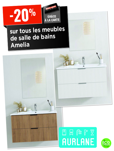 Promotion BRIKO DEPOT