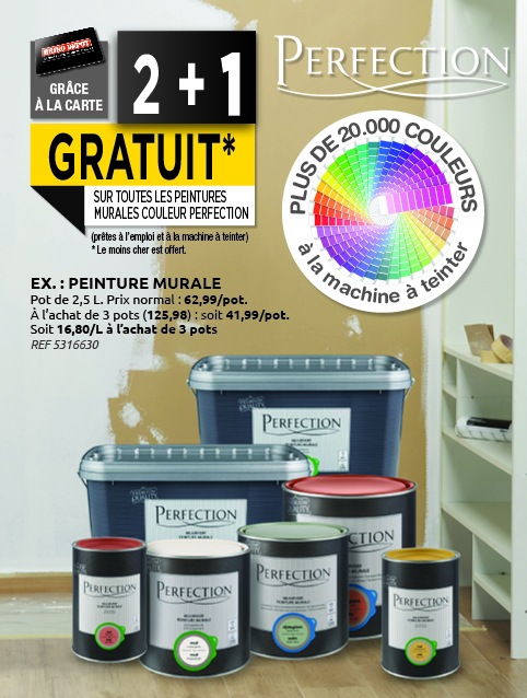 Promotion BRIKO DEPOT