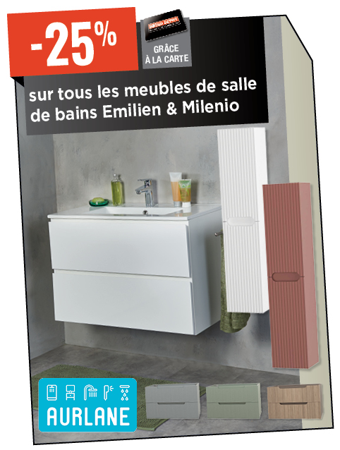 Promotion BRIKO DEPOT