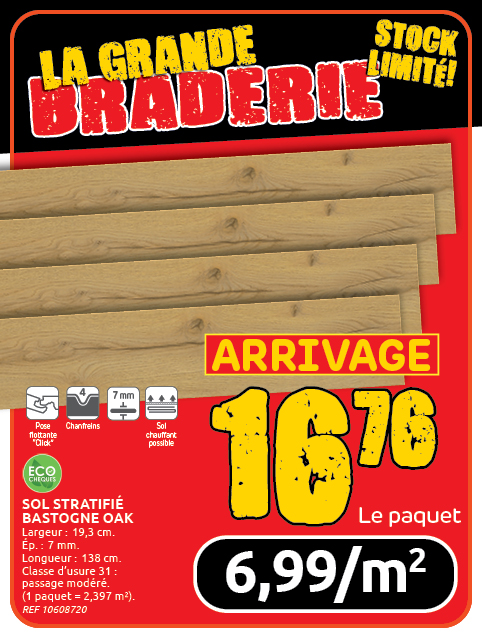 Promotion BRIKO DEPOT