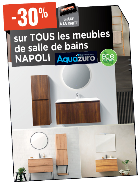 Promotion BRIKO DEPOT